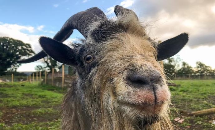 Project Gallery Image